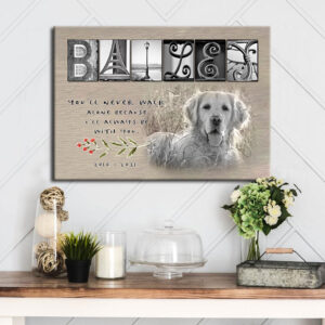 Personalized Pet Memorial Canvas, Loss Of Dog Cat Remembrance Canvas H1